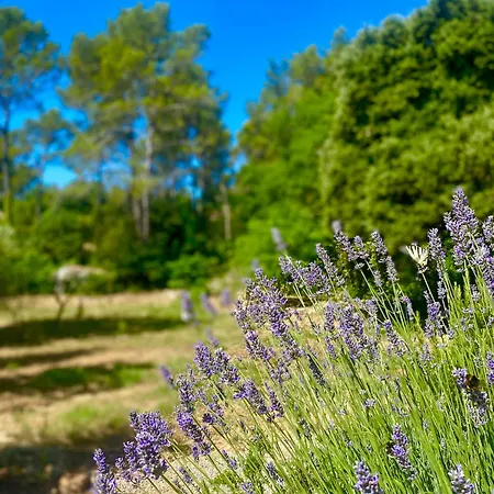 Piscine Chauffee, Tennis, Mas Provencal Contemporain Willa